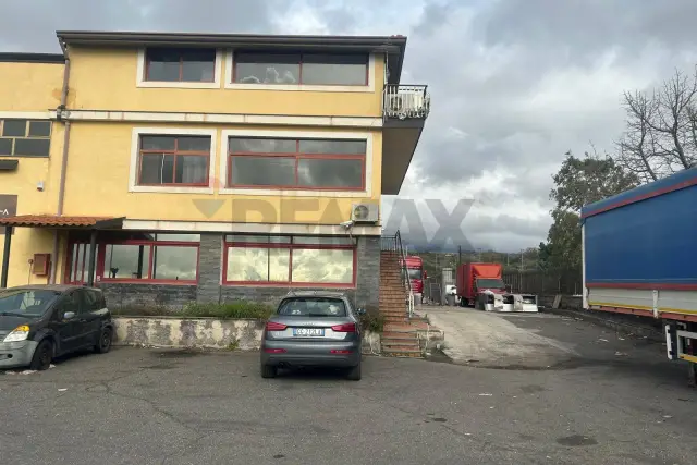 insertion image