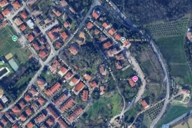 insertion image