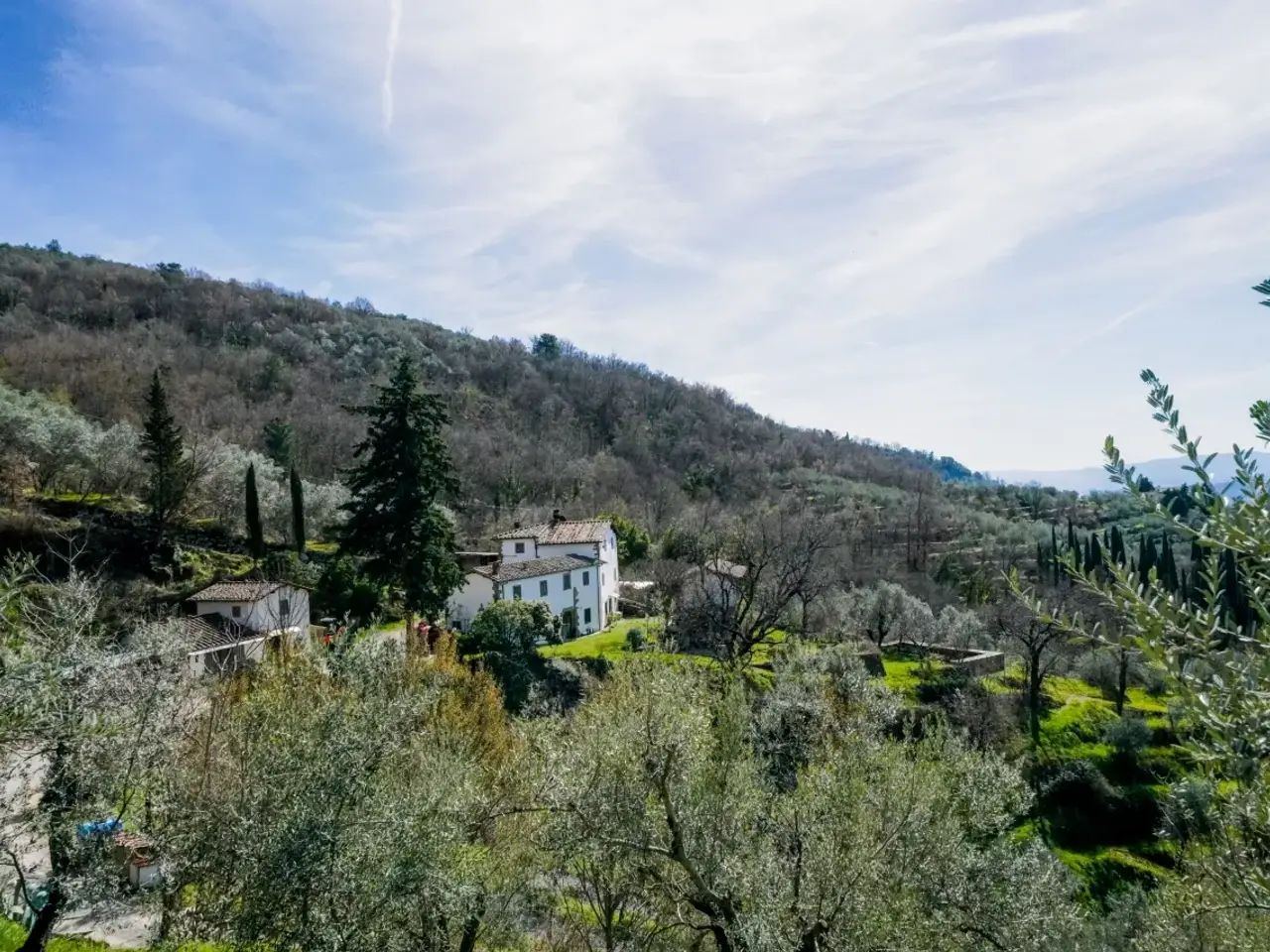 Azienda agricola in Via di Caselli, Castelfranco Piandiscò, {3} - Foto 1
