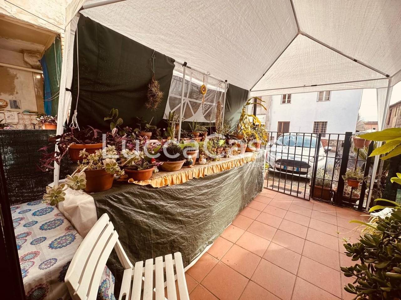 immagine annuncio 12 di 14