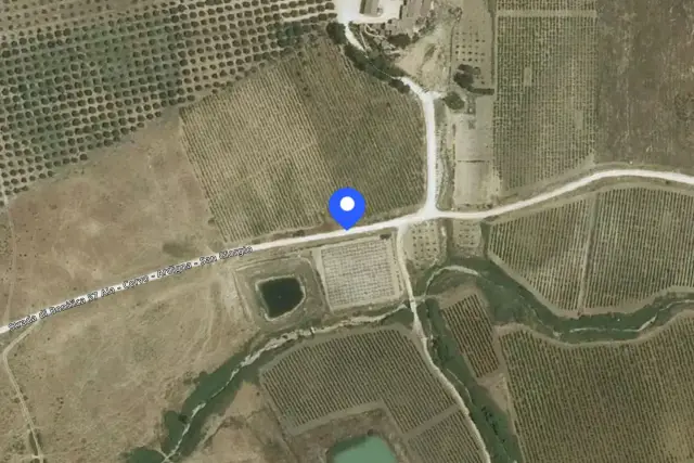 insertion image
