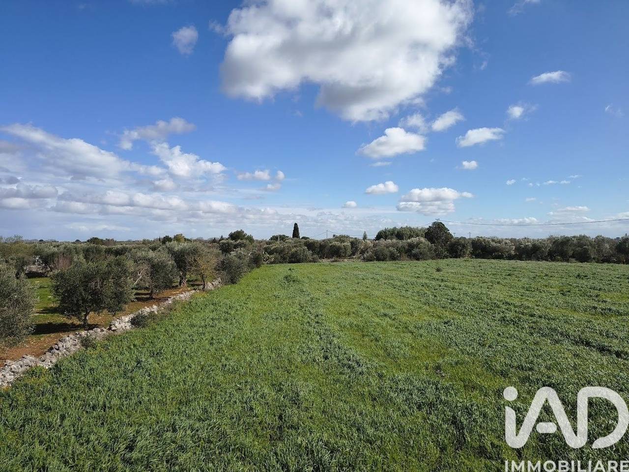 immagine annuncio 5 di 8