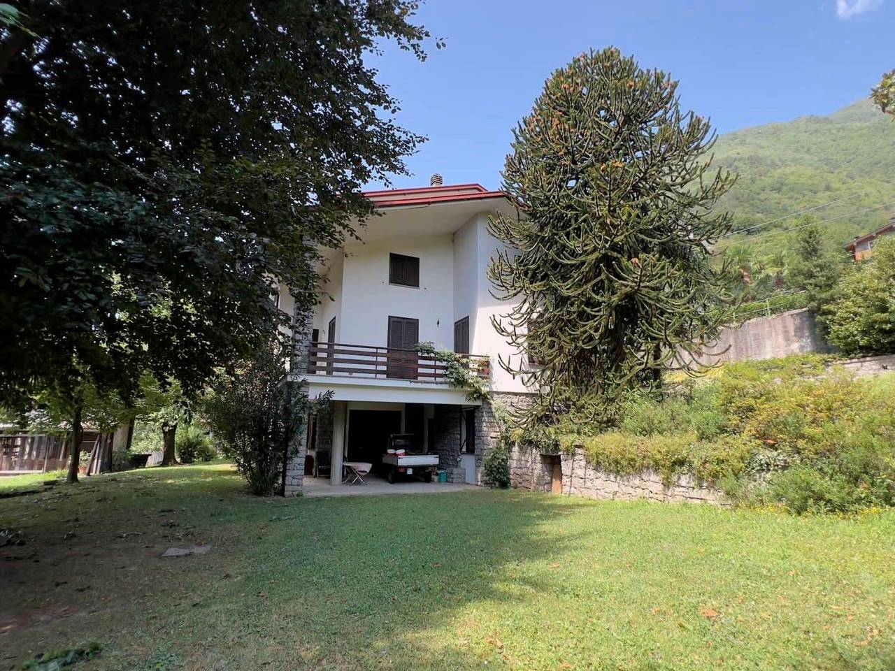 immagine annuncio 12 di 15