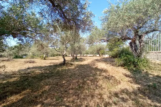 insertion image