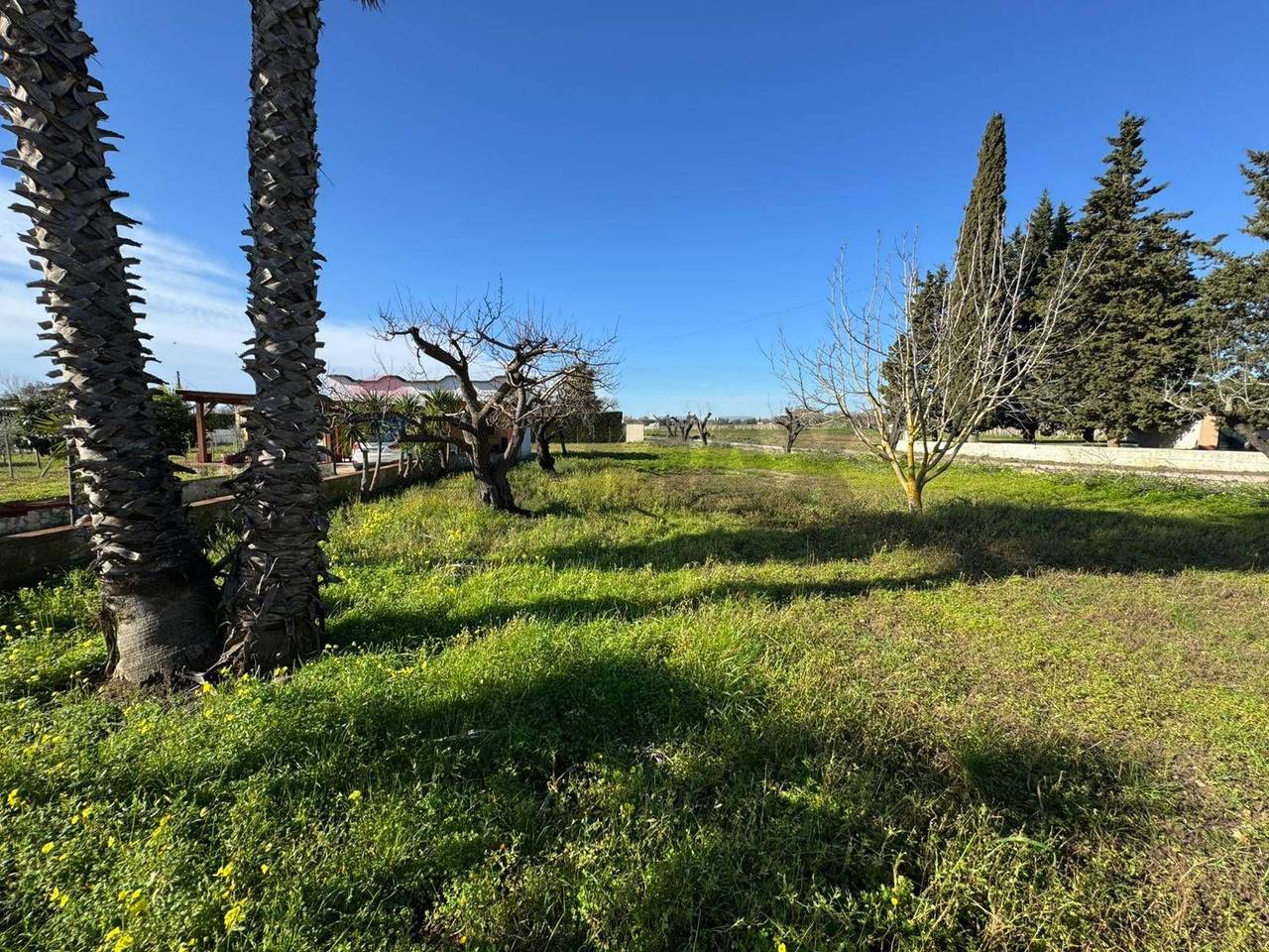 immagine annuncio 7 di 9