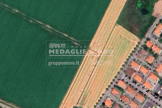 insertion image