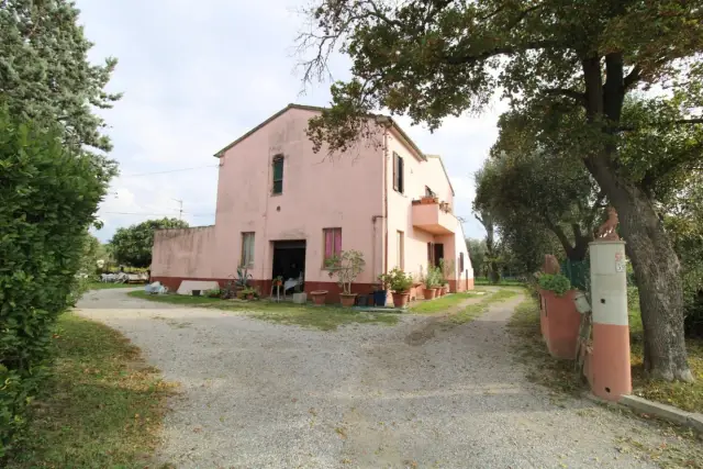 Casa indipendente, Pontedera - Foto 1