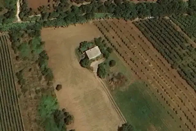 insertion image