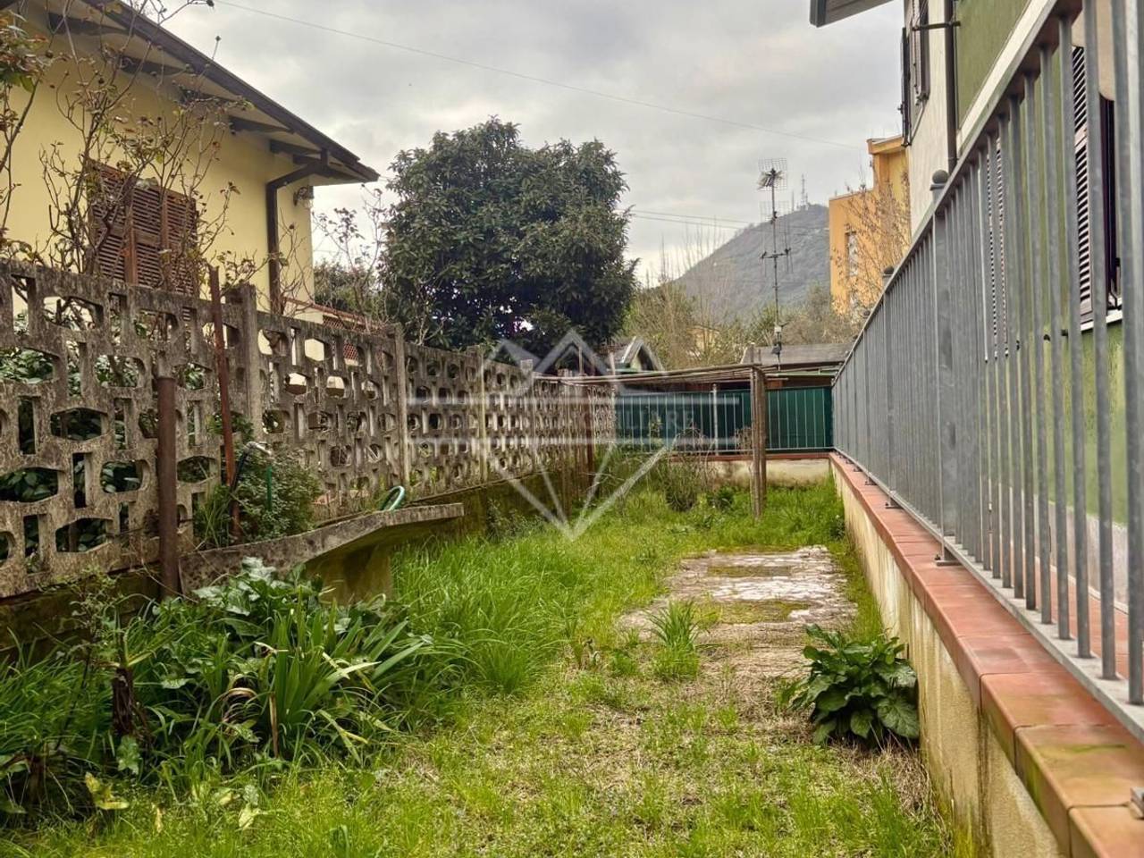 immagine annuncio 11 di 12