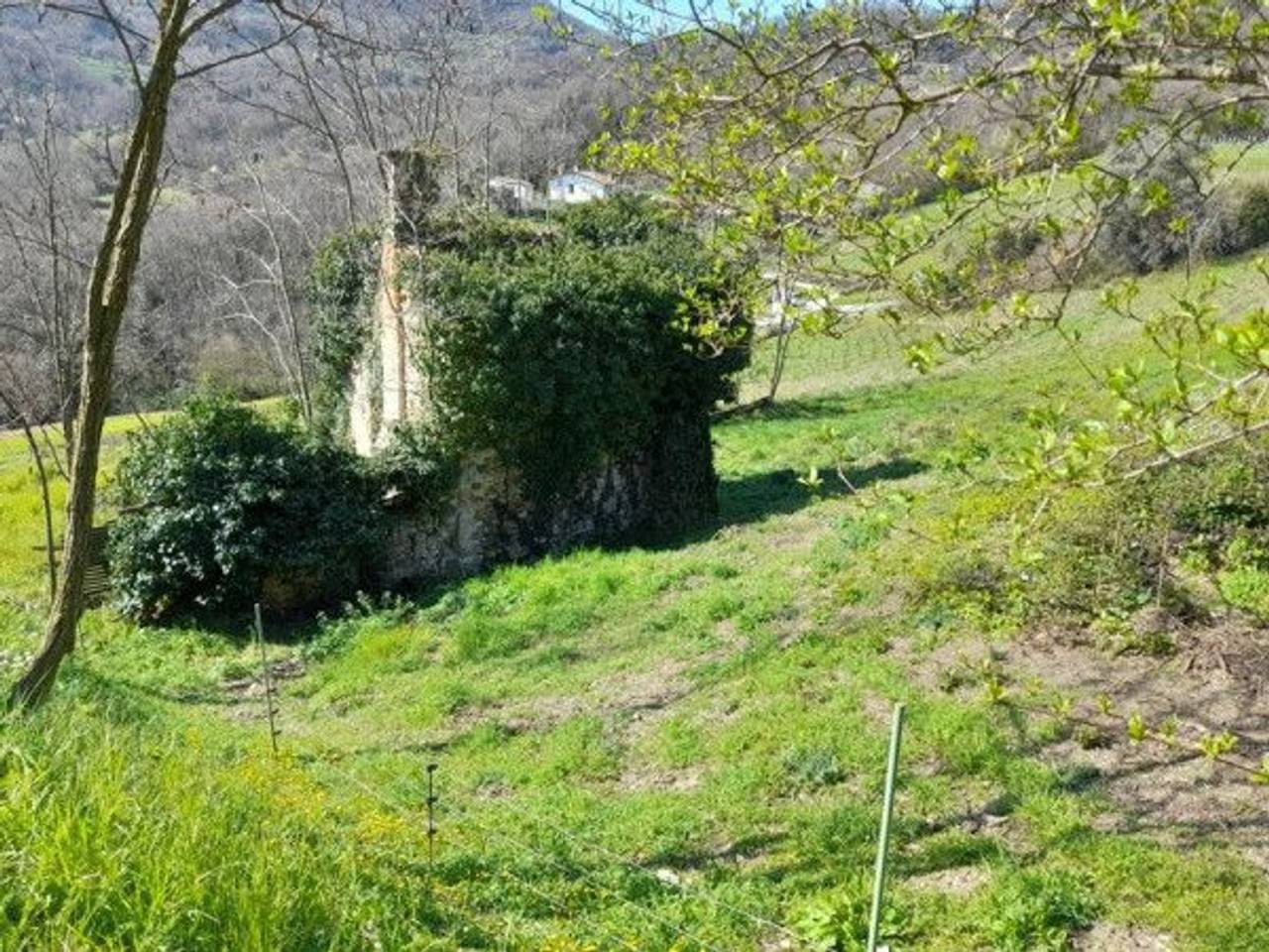 immagine annuncio 10 di 13