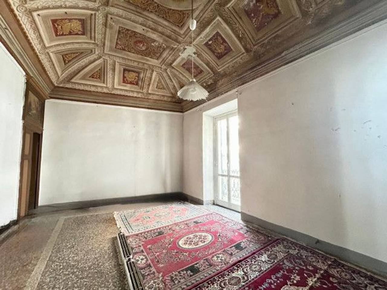 immagine annuncio 1 di 14