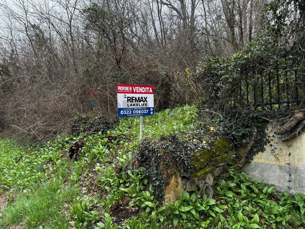 immagine annuncio 9 di 11