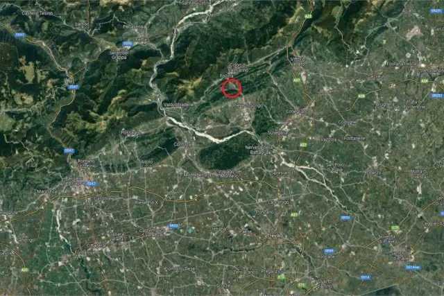 insertion image