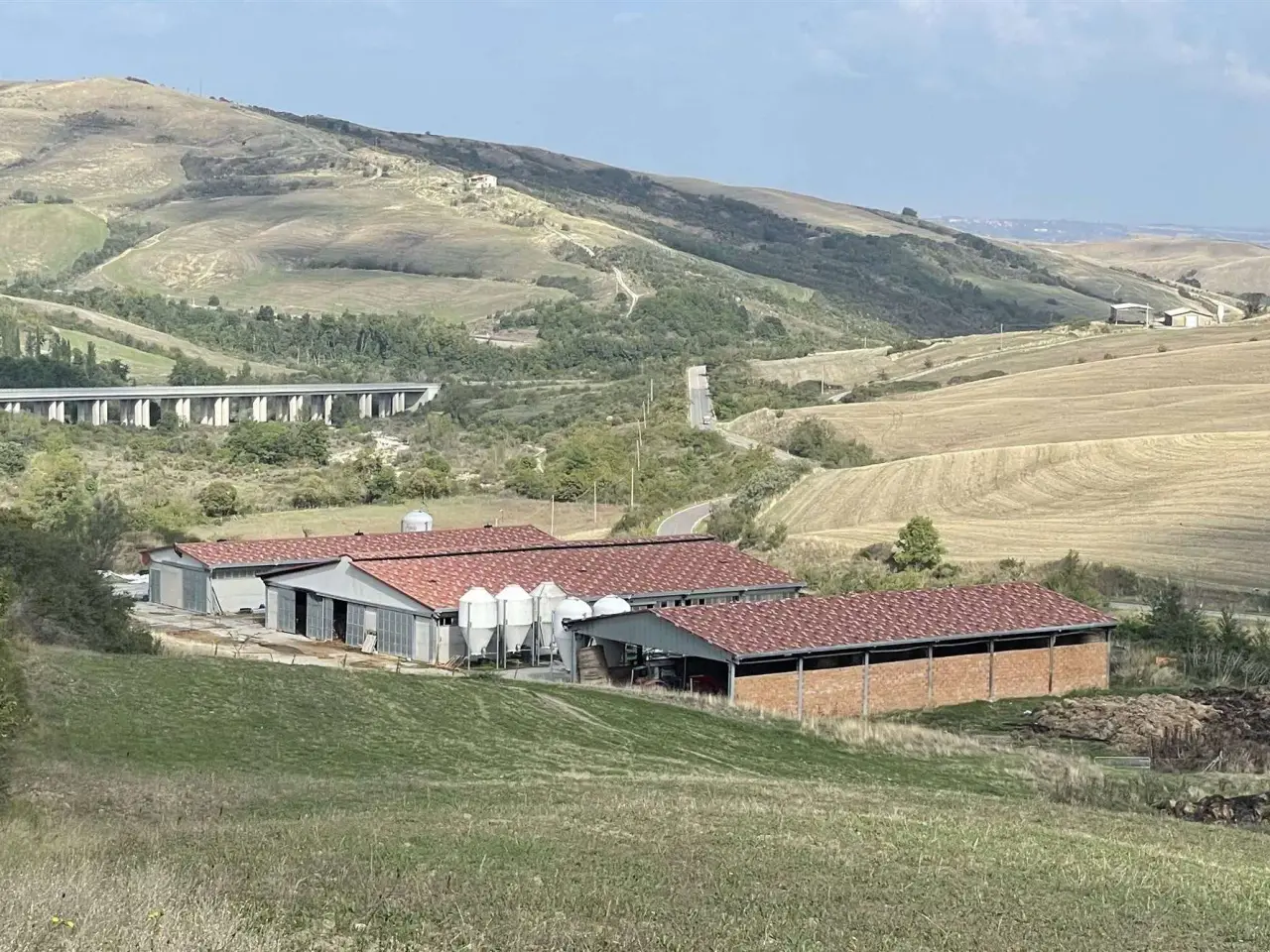 Azienda agricola in , Radicofani, {3} - Foto 2