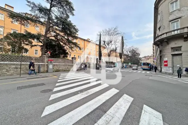 insertion image