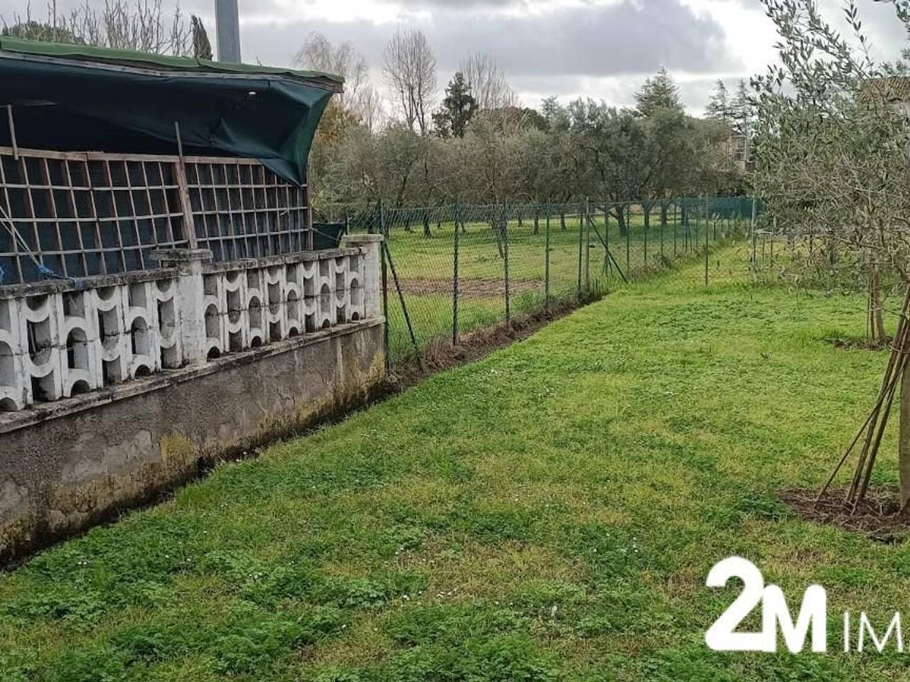 immagine annuncio 2 di 14