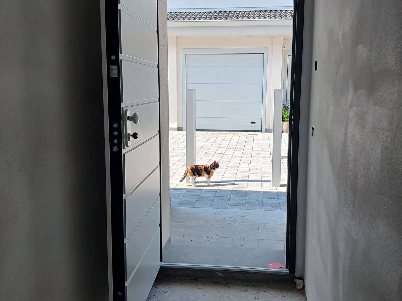 immagine annuncio 5 di 14