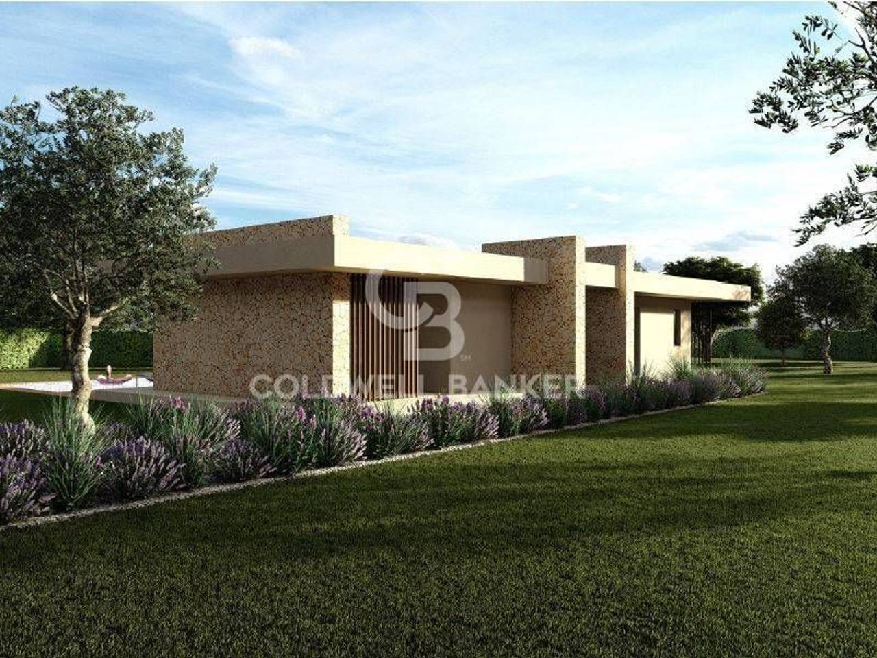 immagine annuncio 6 di 12