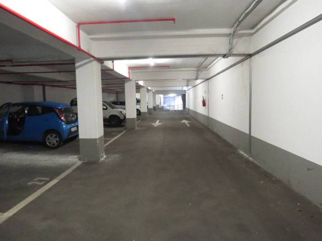 immagine annuncio 7 di 13