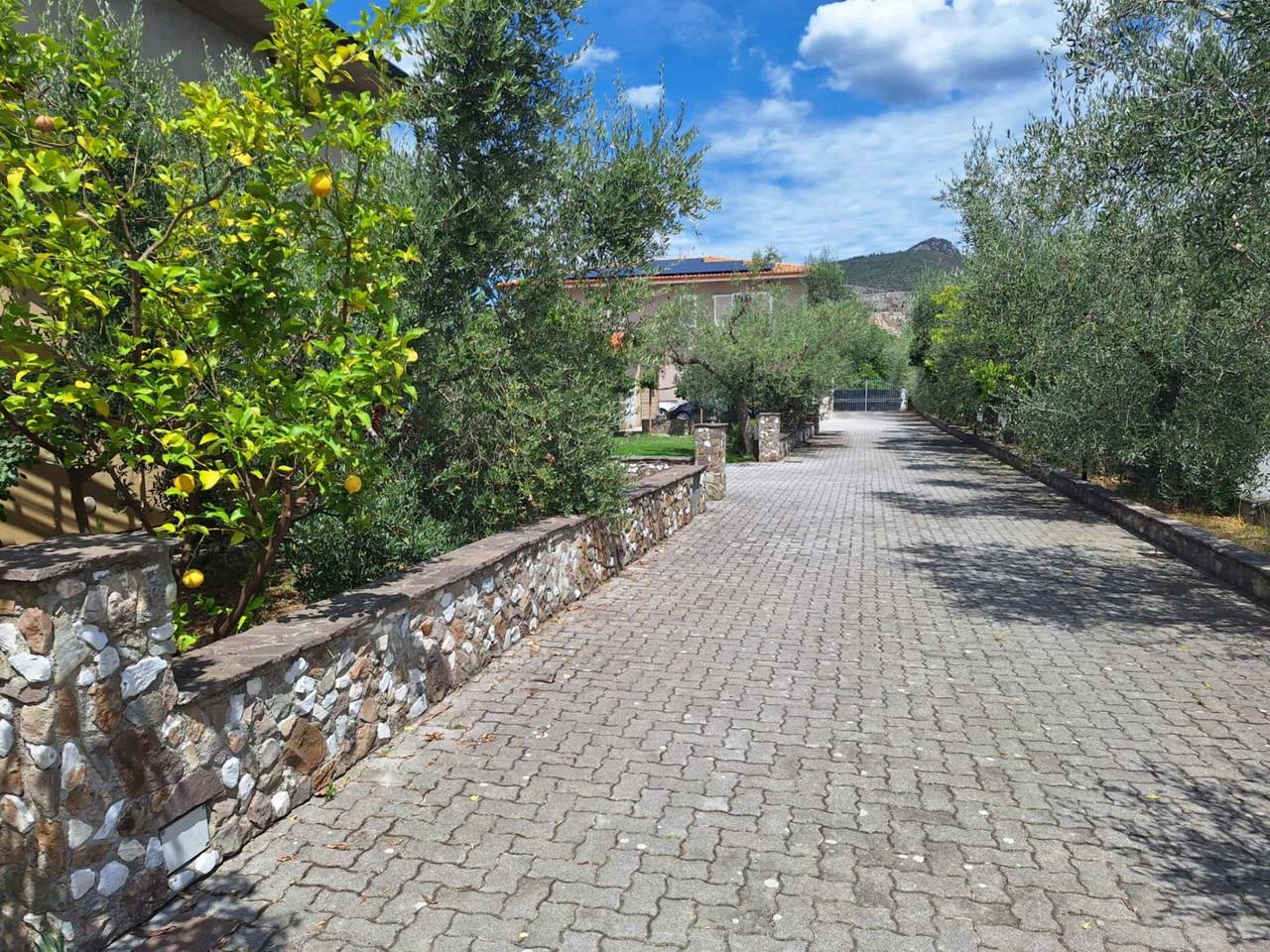 immagine annuncio 5 di 8