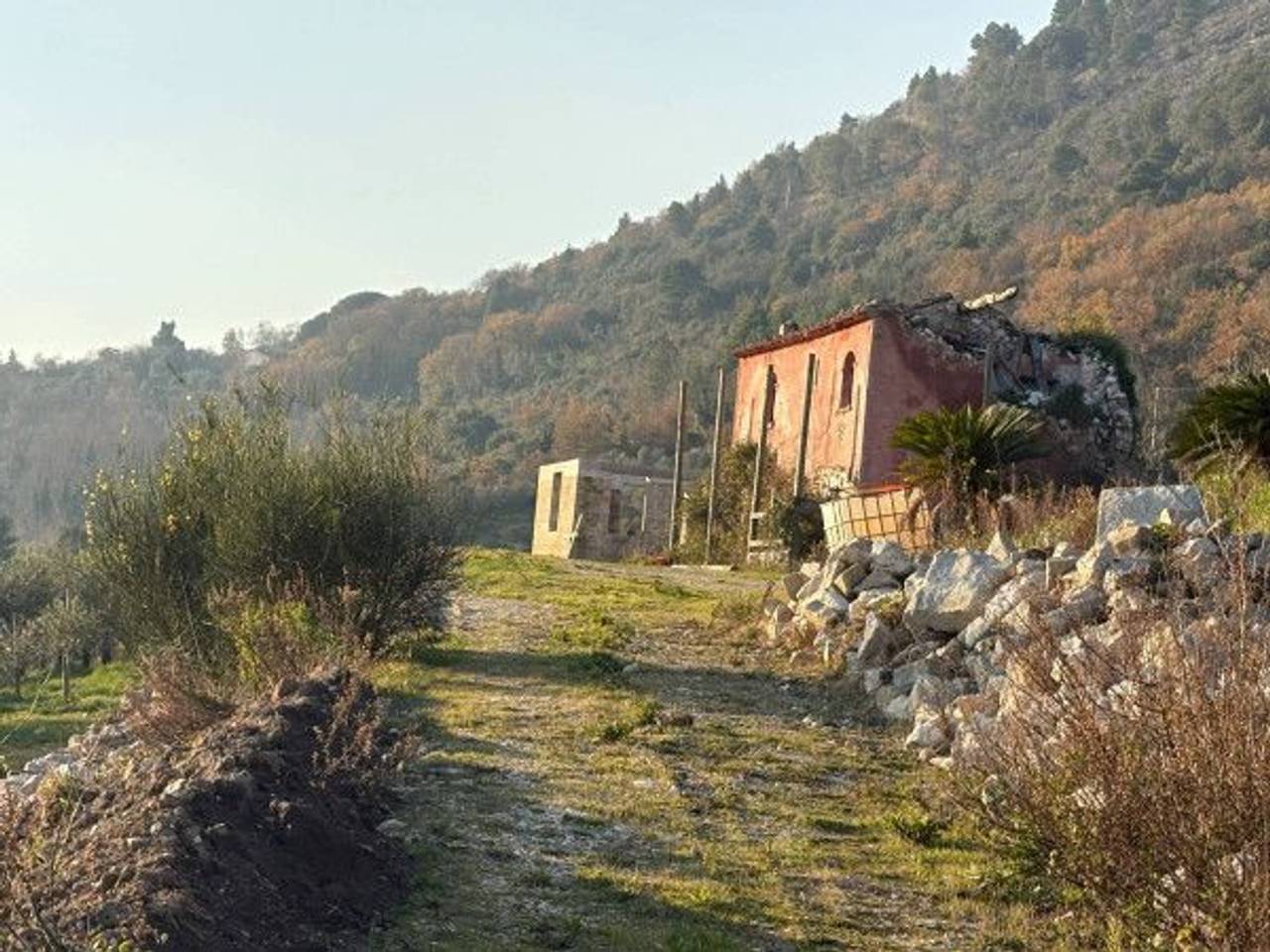 immagine annuncio 6 di 7