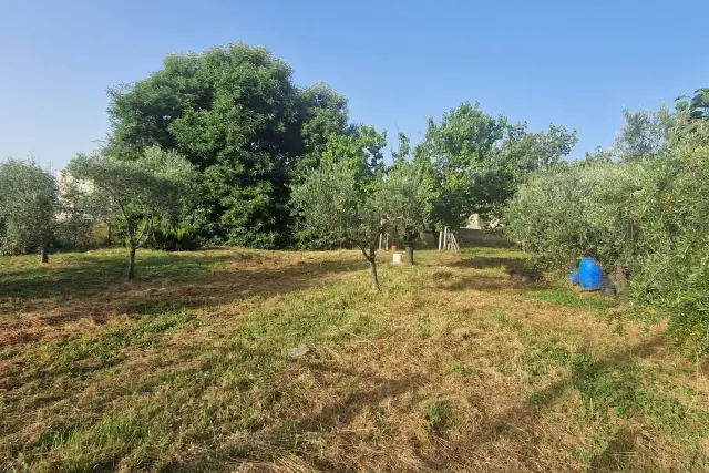 Terreno agricolo in Strada Provinciale Maremmana III, San Cesareo - Foto 1