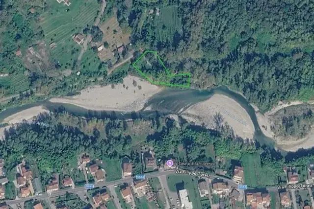 insertion image