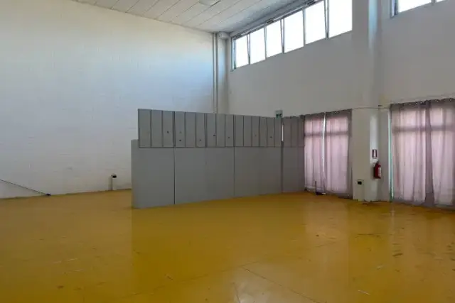 insertion image