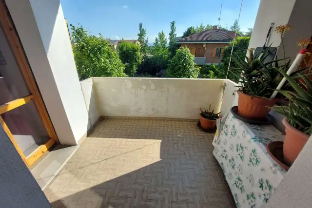 insertion image