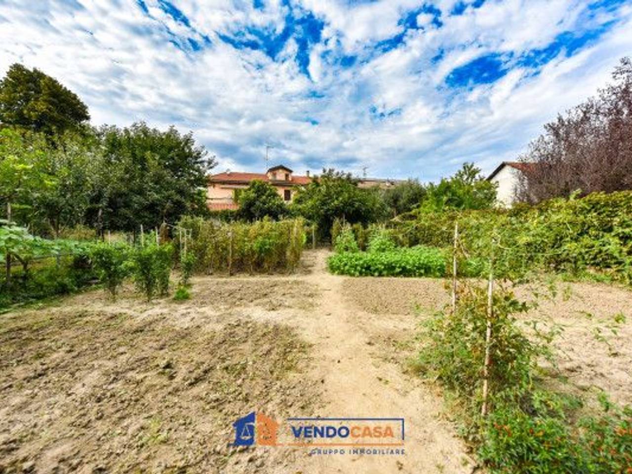 immagine annuncio 3 di 4