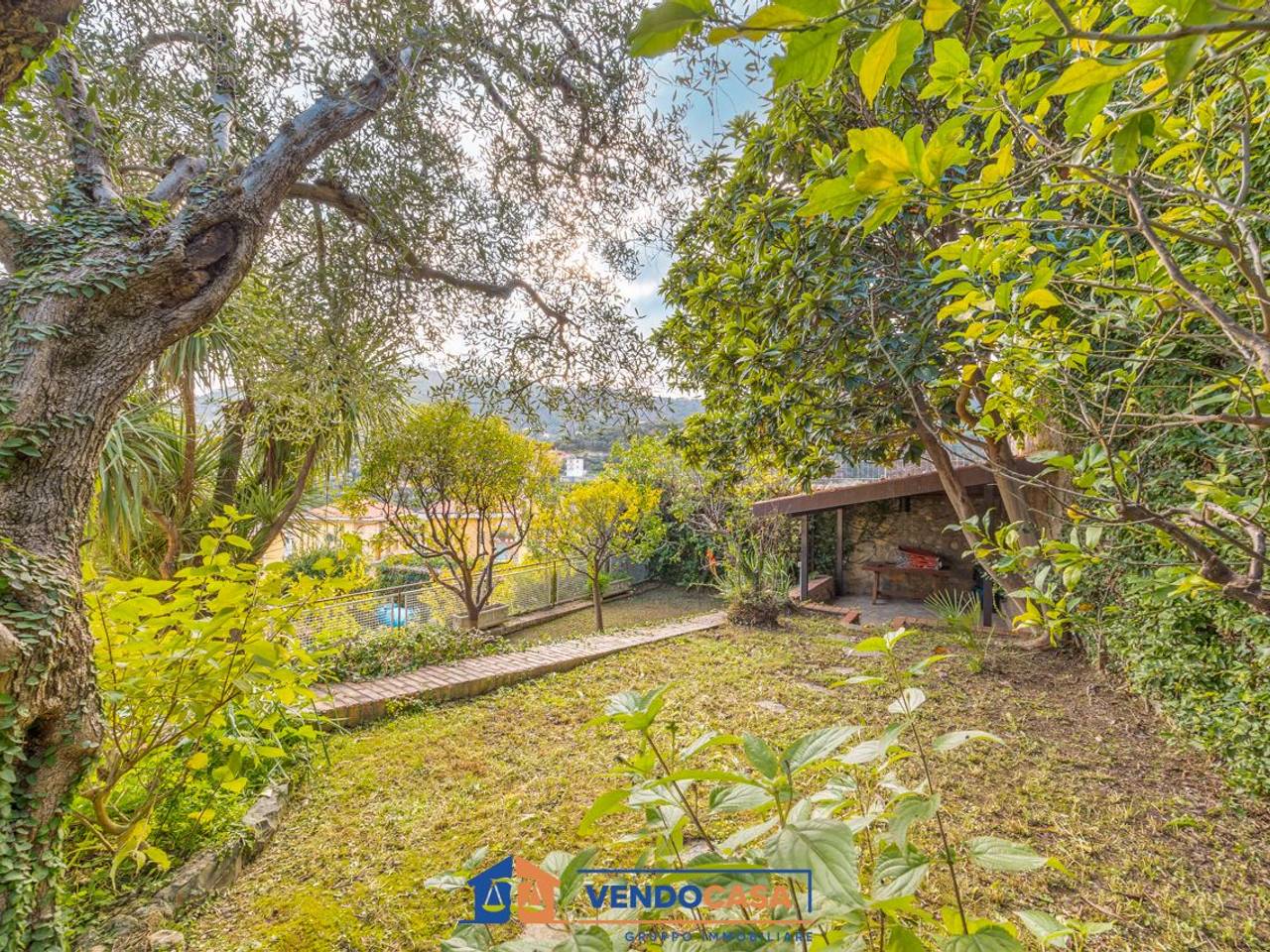 immagine annuncio 12 di 15