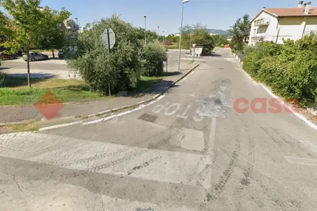 insertion image