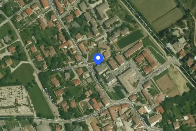 insertion image