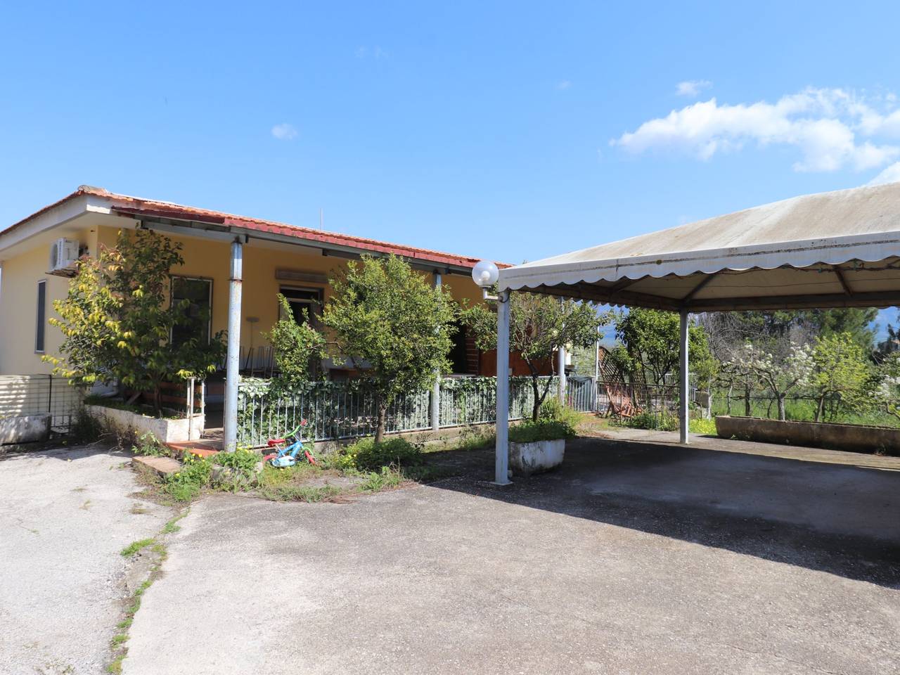 immagine annuncio 1 di 15