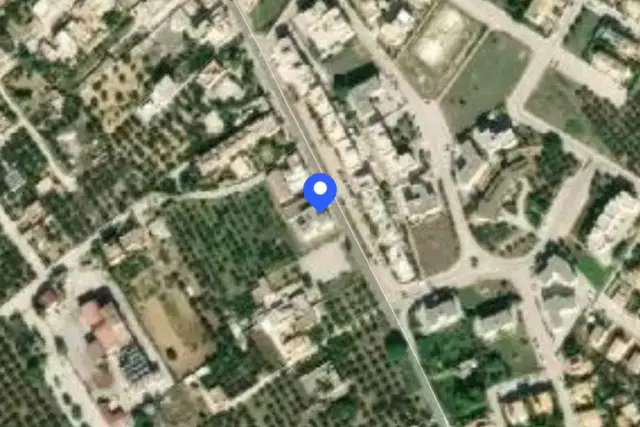 insertion image