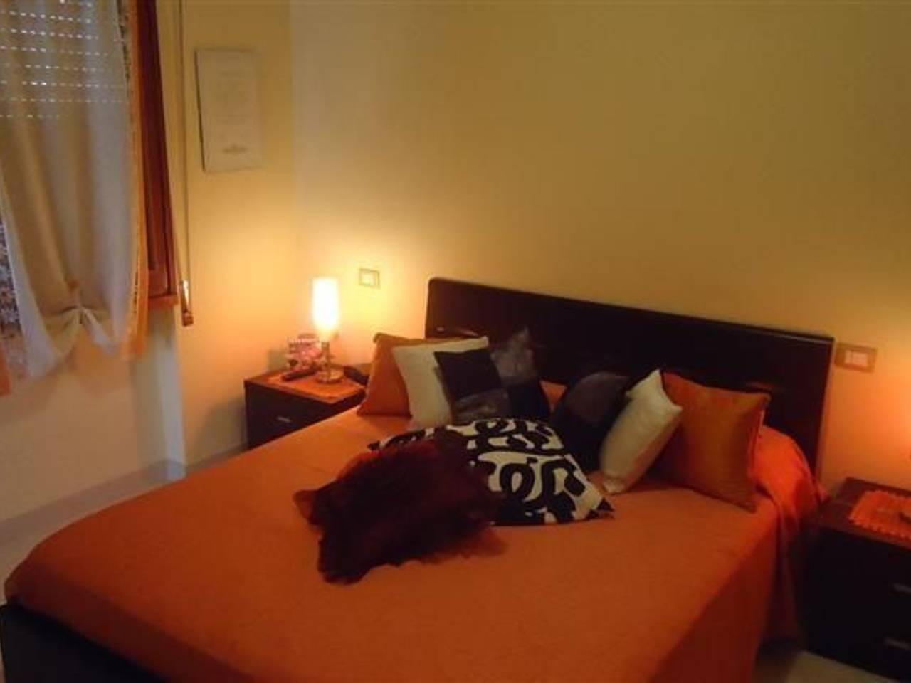 immagine annuncio 7 di 14