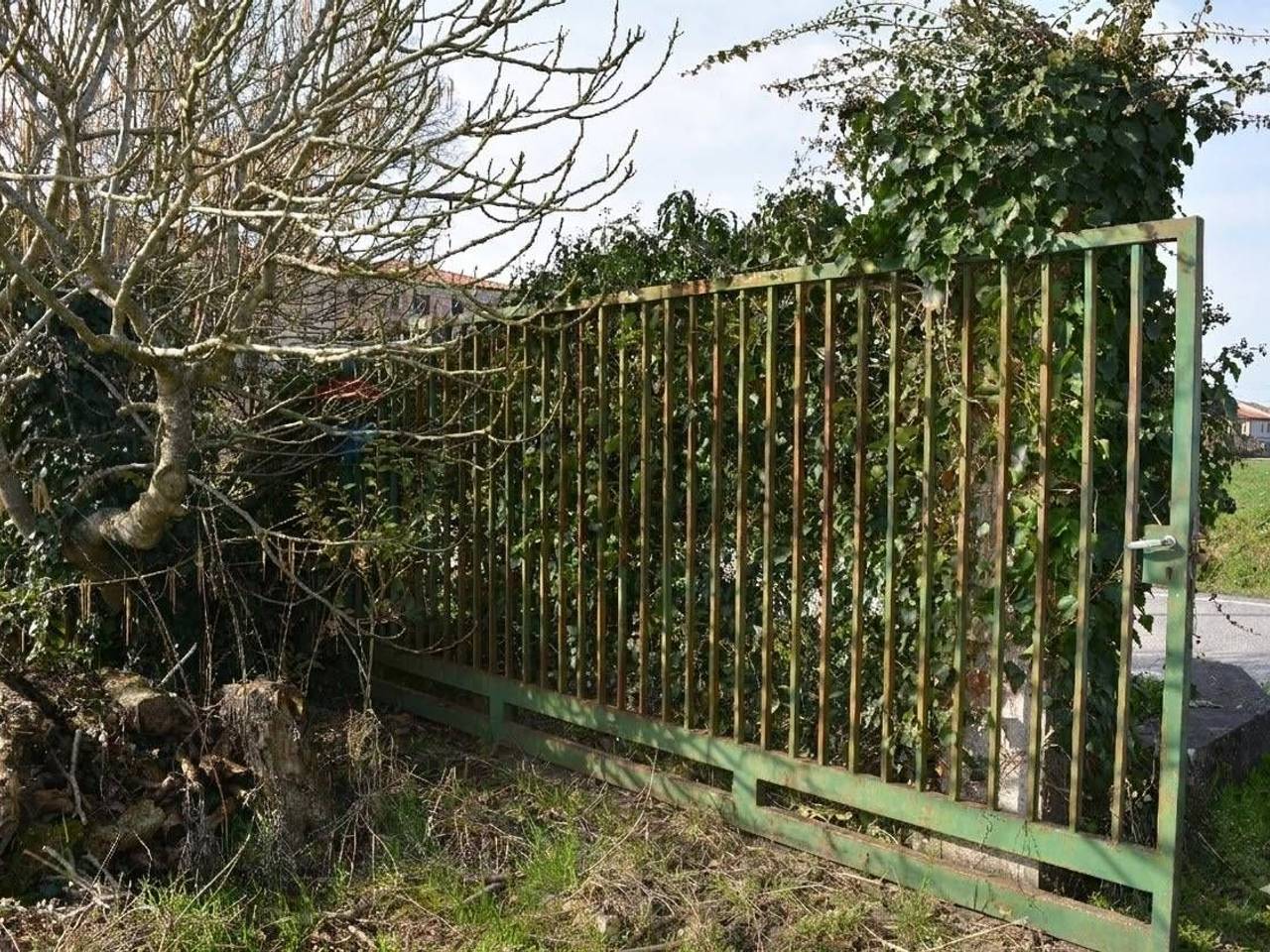 immagine annuncio 10 di 14