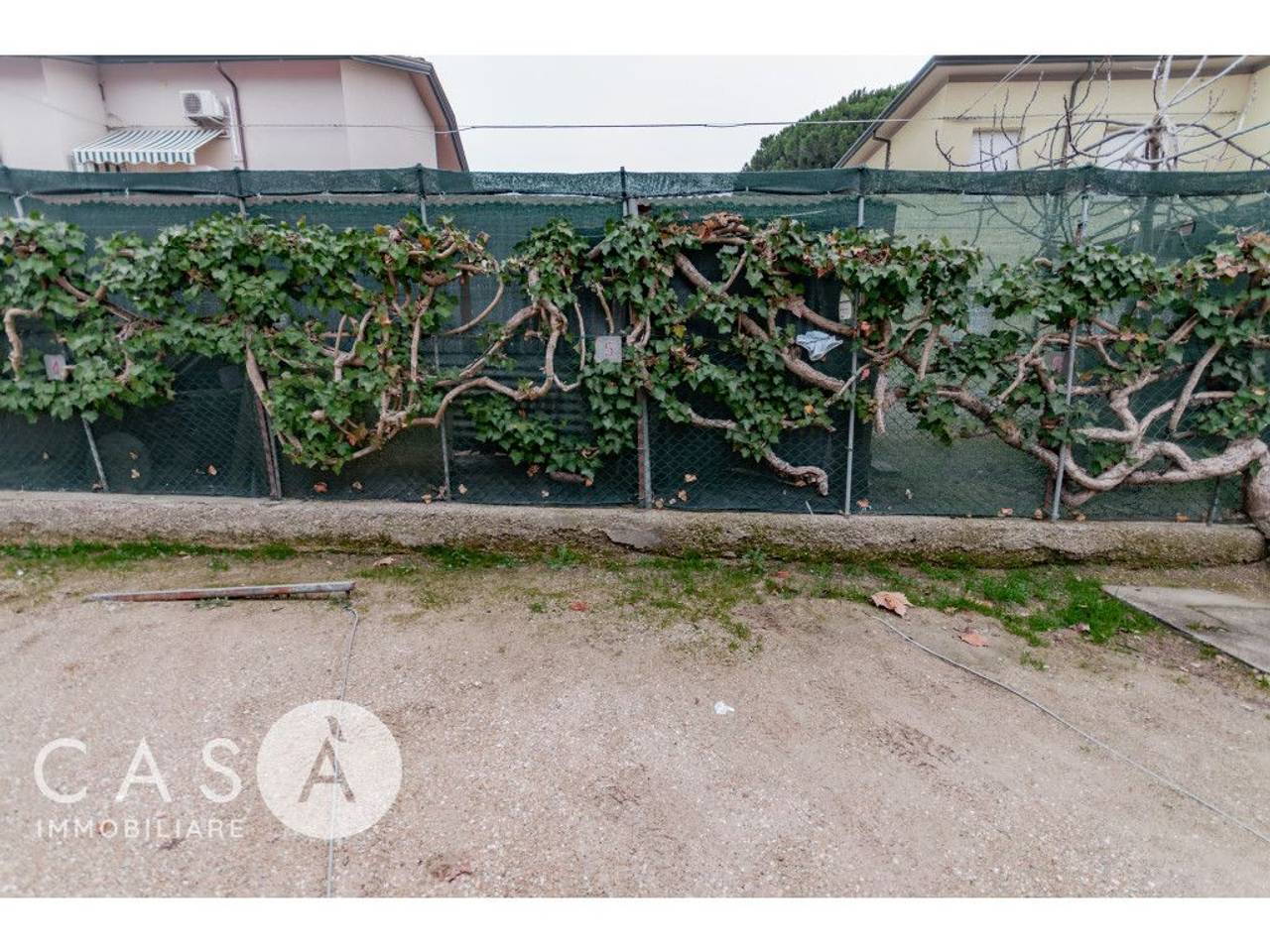 immagine annuncio 8 di 9