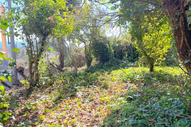 Terreno agricolo in Via Fontana, Valverde - Foto 1