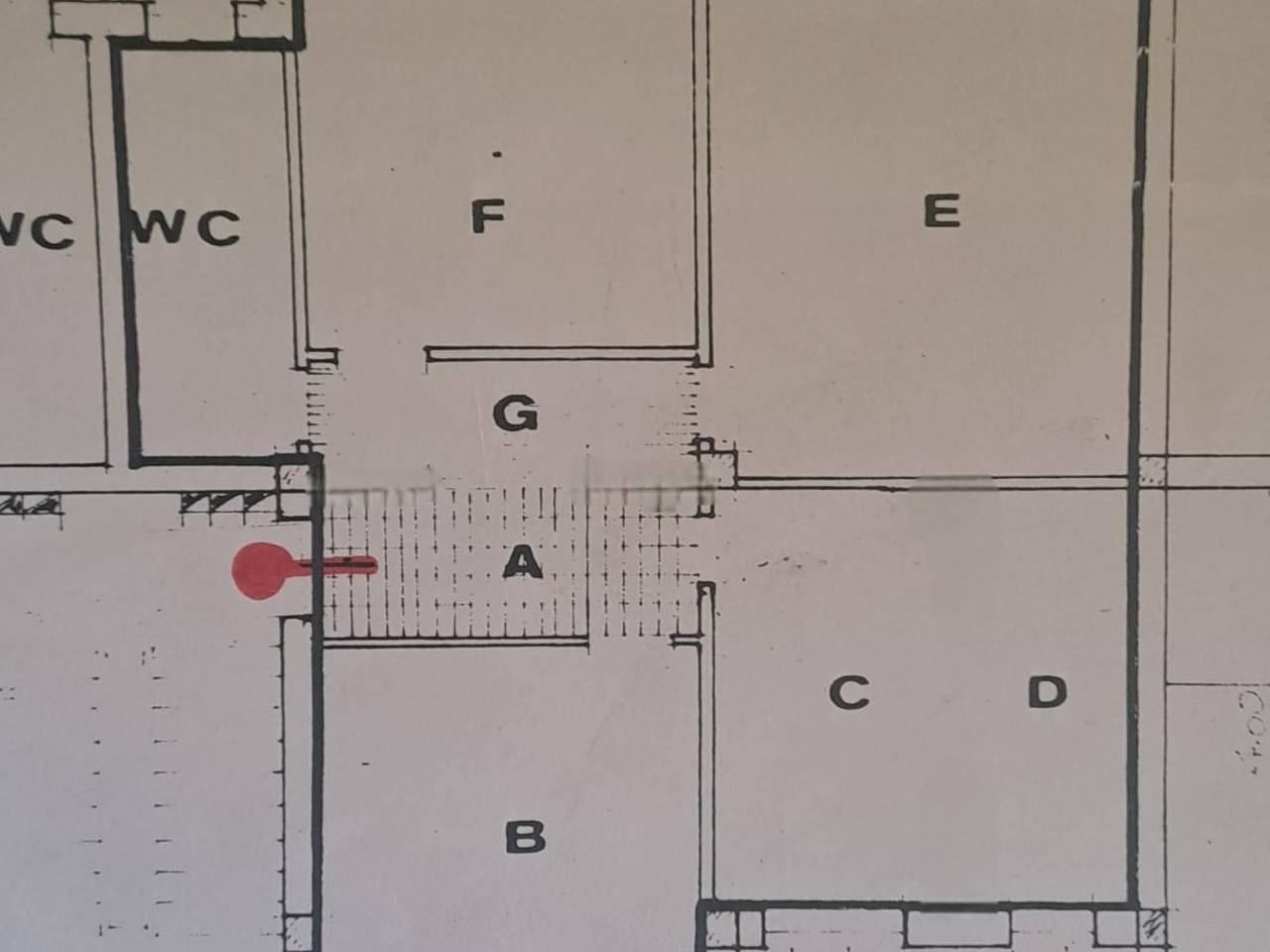 immagine annuncio 13 di 14