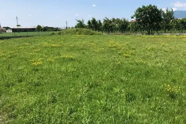 Terreno edificabile in vendita, Via Cjarnescule, Gemona Del Friuli - Foto 1