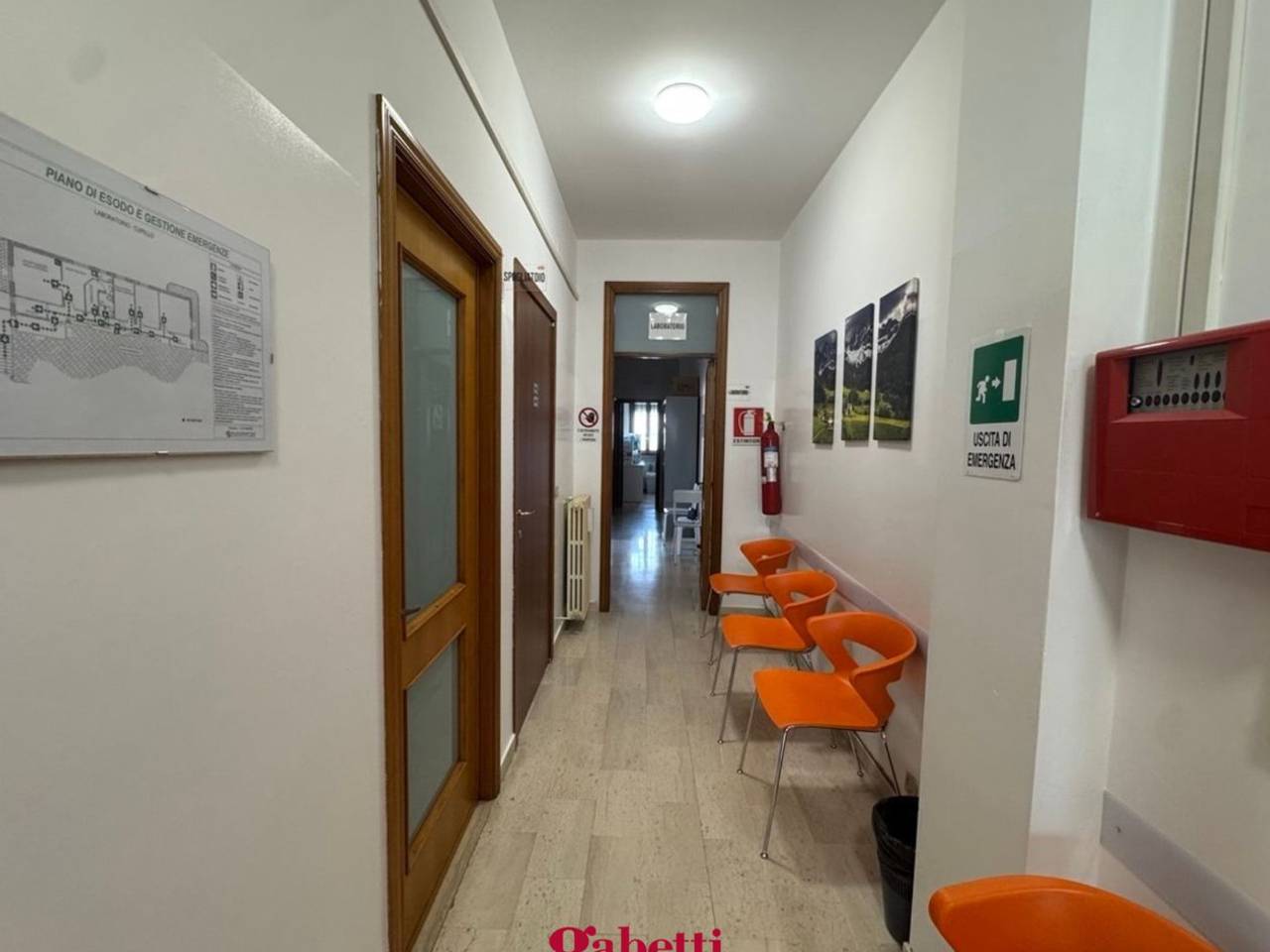 immagine annuncio 4 di 14