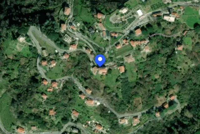 insertion image