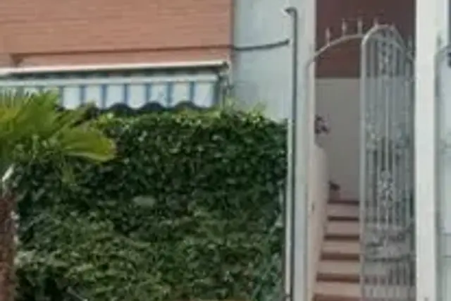 insertion image