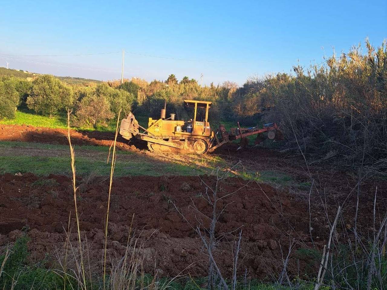 immagine annuncio 2 di 6