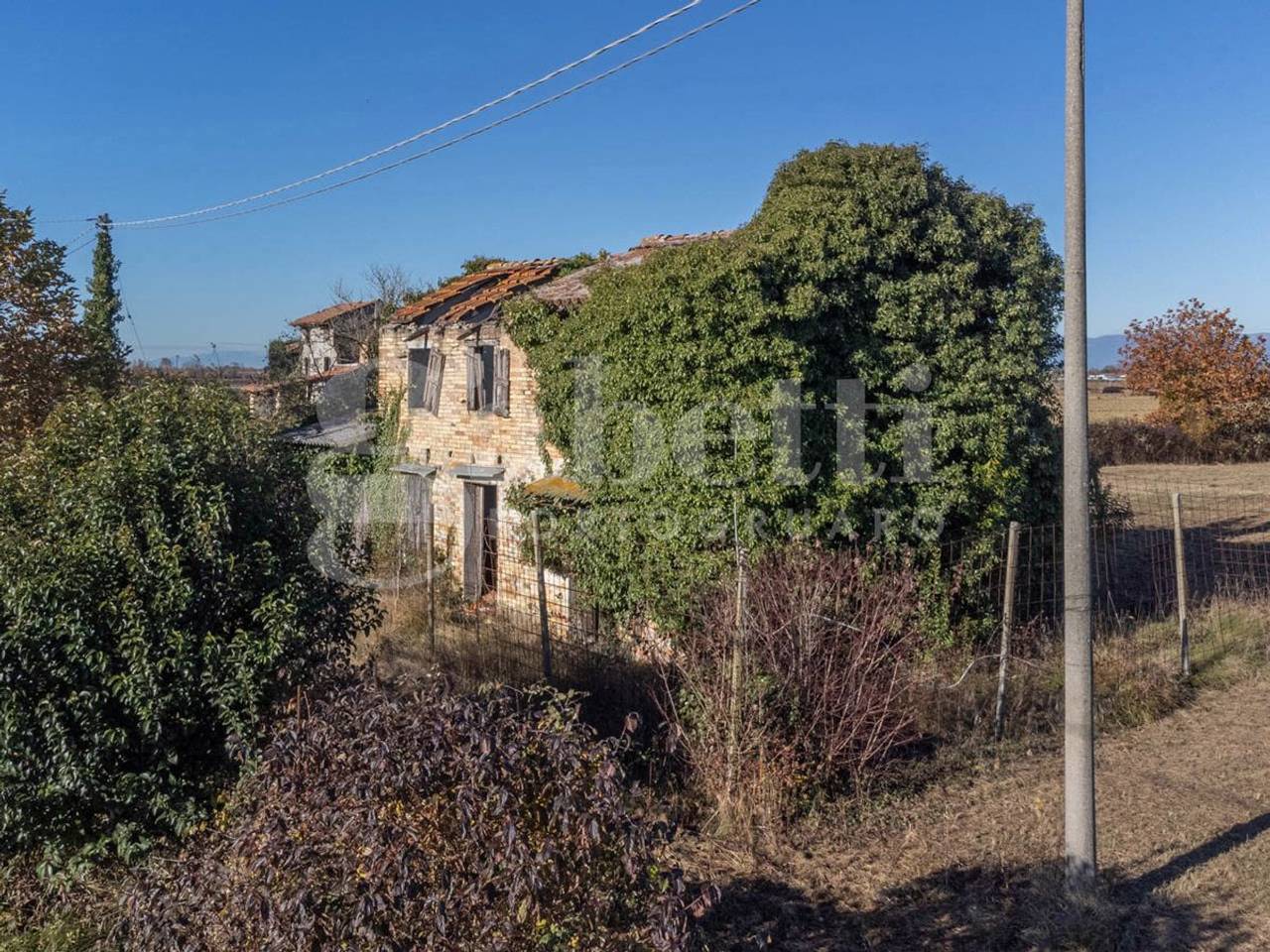 immagine annuncio 9 di 12