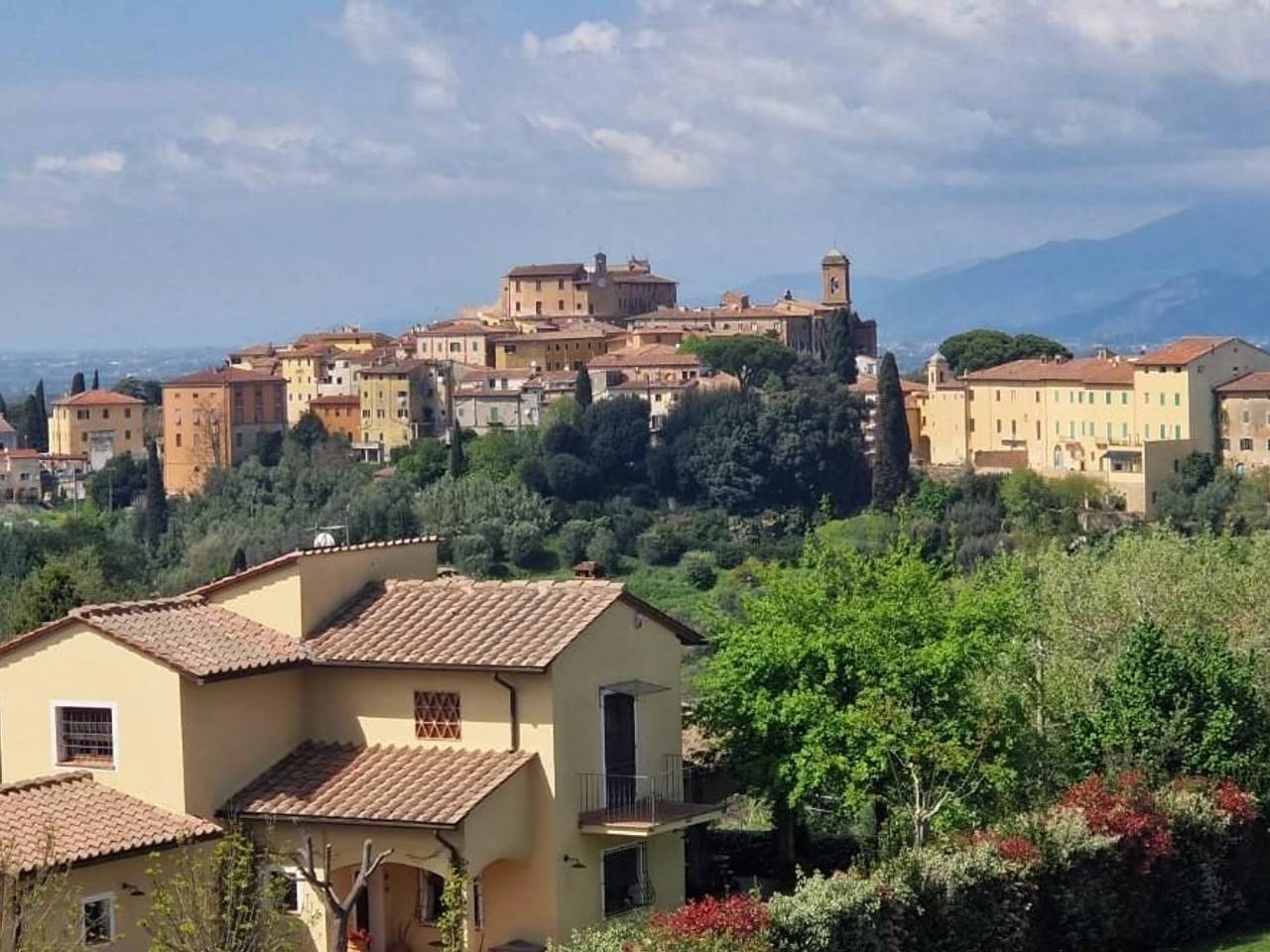 immagine annuncio 12 di 15