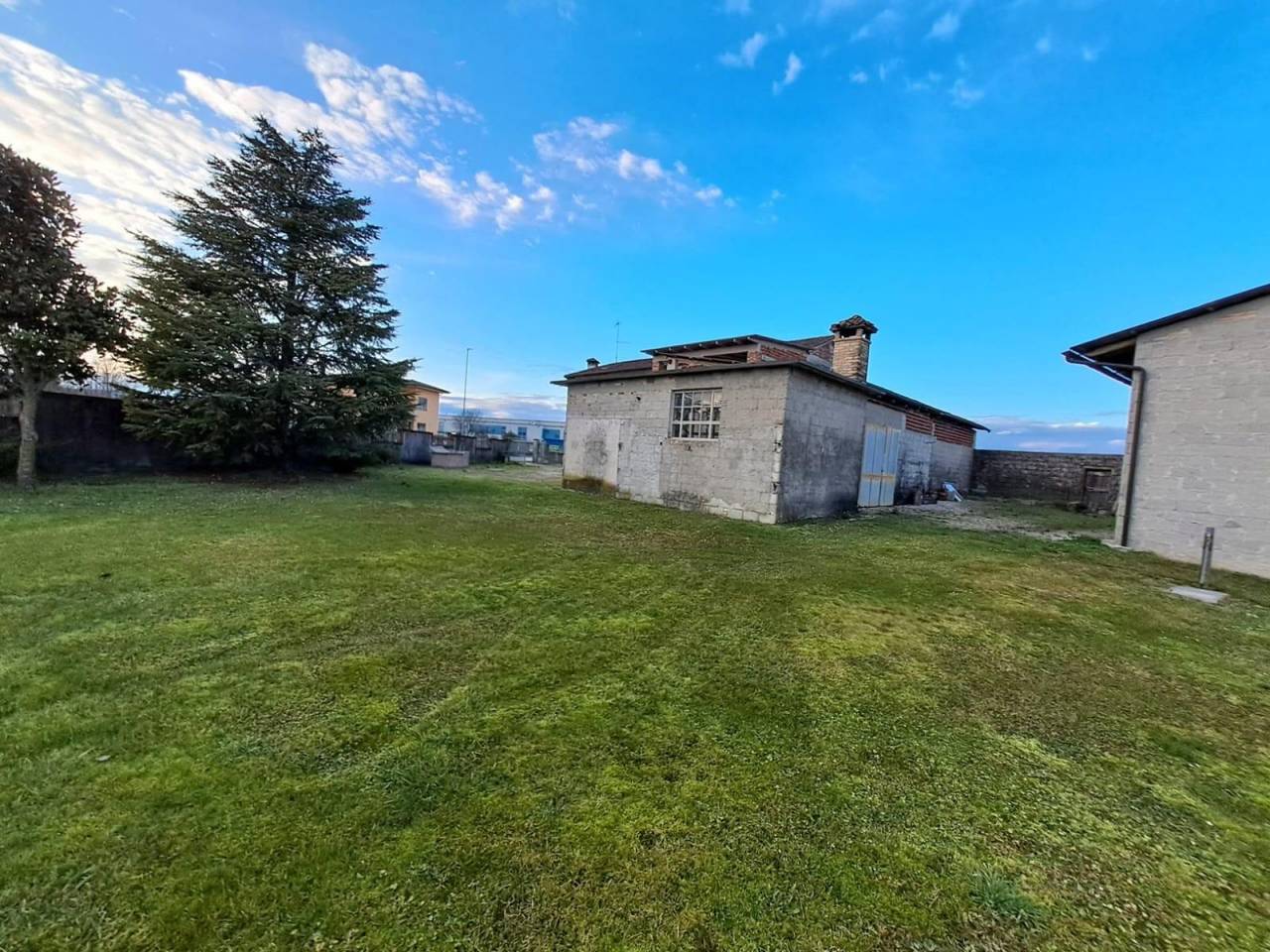 immagine annuncio 6 di 13