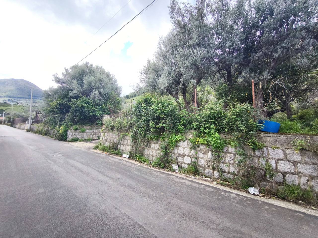 immagine annuncio 3 di 6