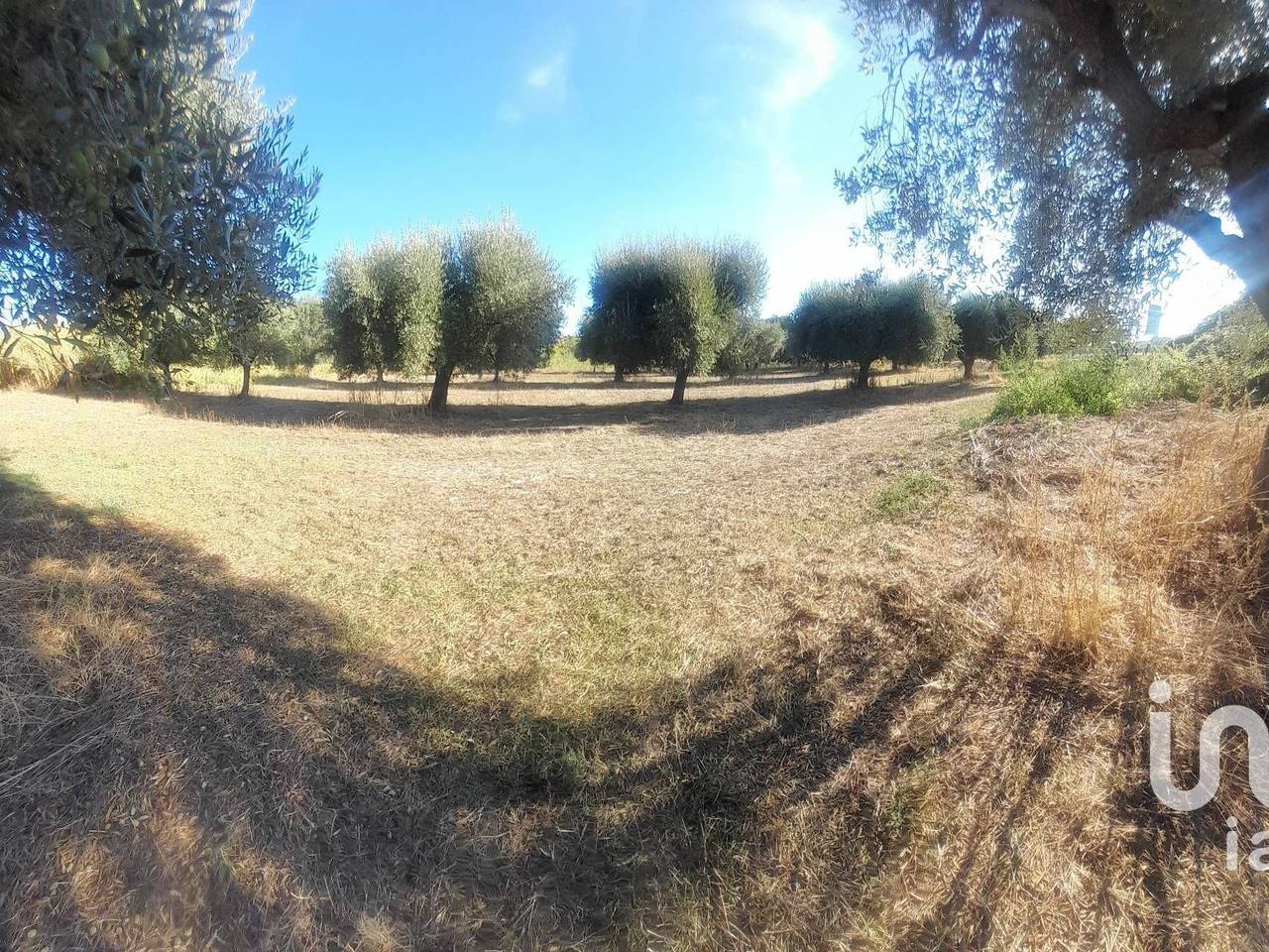 immagine annuncio 8 di 9